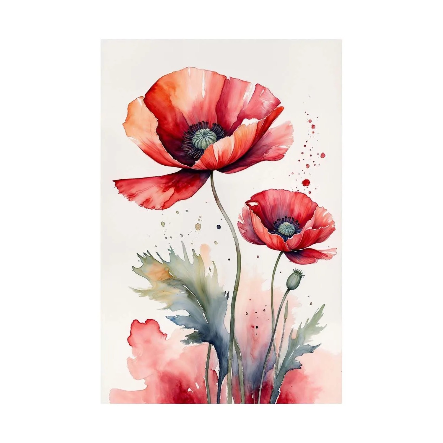 Frames Factory Obraz CANVAS mak 60 x 80 cm