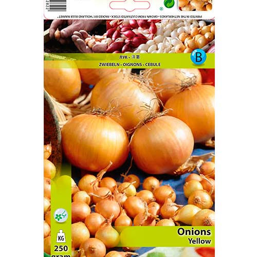1 szt, Gelbe Zwiebeln - Samen: Ilość w opakowaniu: 250 g