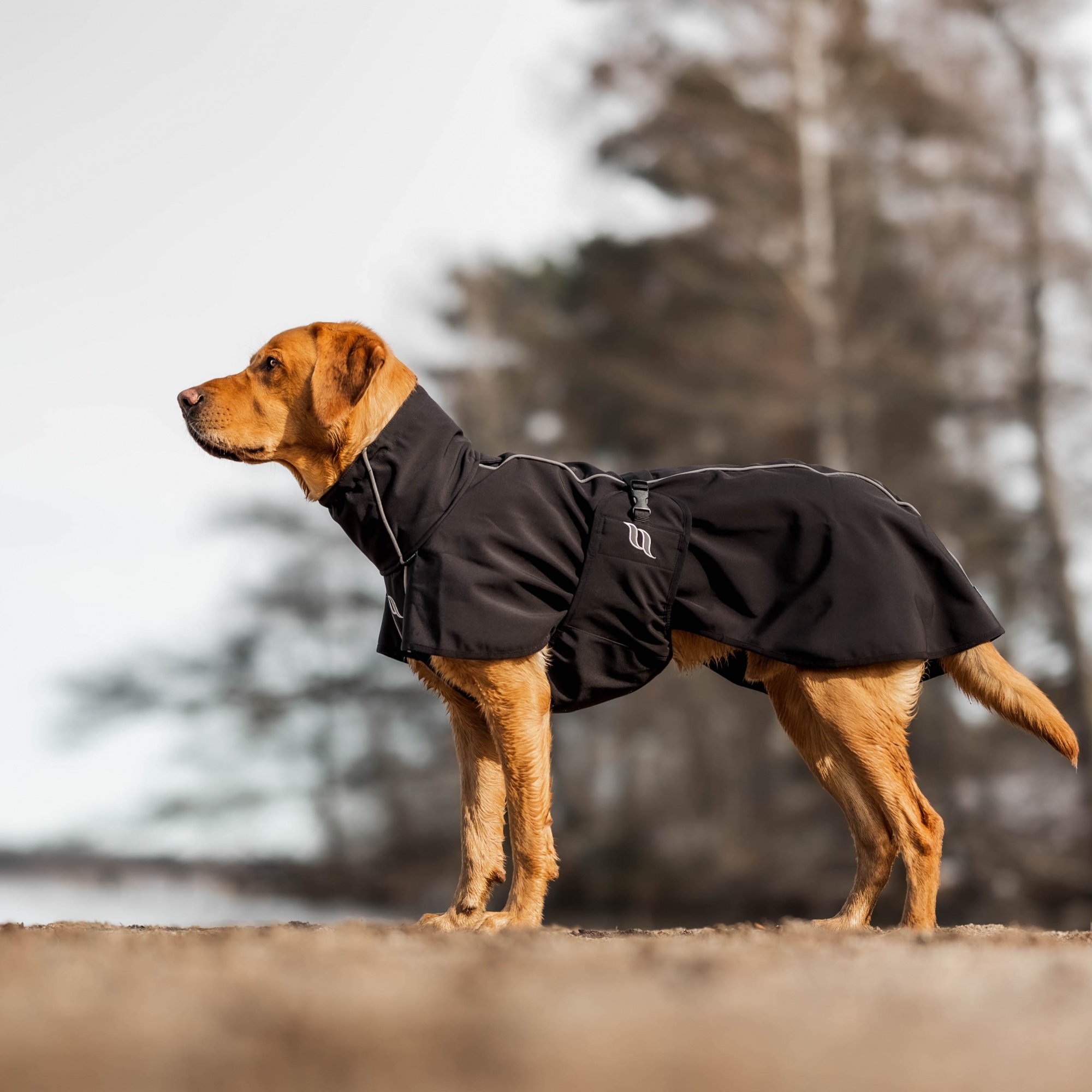 Back on Track Nella Softshell kurtka dla psa, długi tył