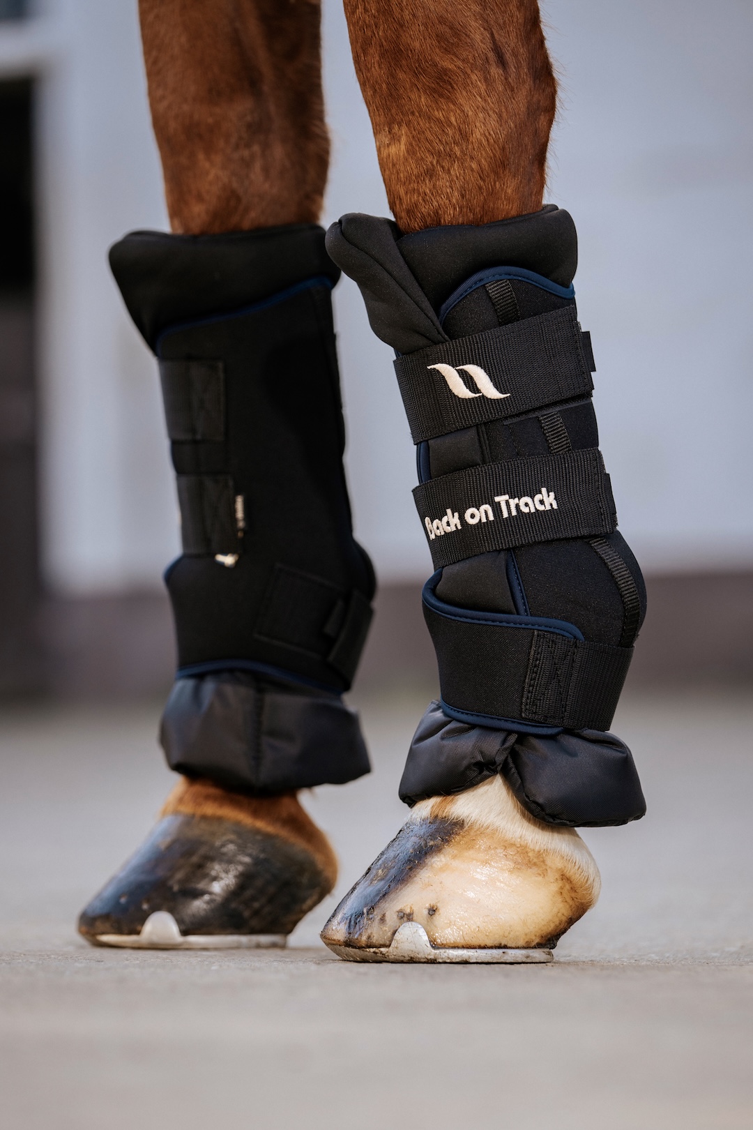 Back on Track ochraniacze stajenne Royal Deluxe