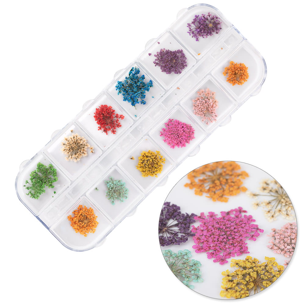 Suszone kwiaty do zdobień paznokci w kasetce Molly Nails rodzaj A 24szt