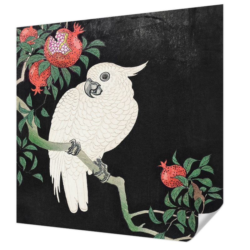 Fototapeta samoprzylepna Tulup 250x250 cm Papuga granaty Tapeta Do Salonu, Sypialni, Biura 1 szt.