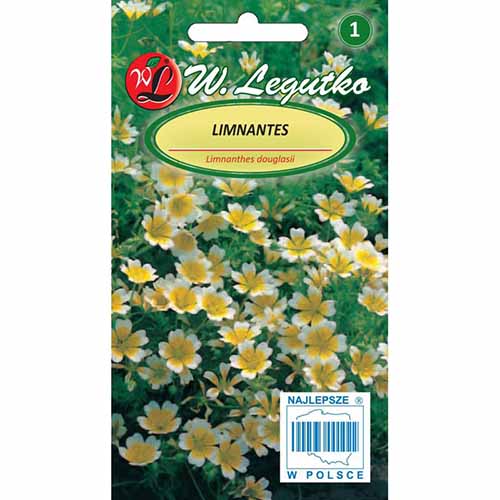 1 szt, Limnantes żółto - biały Legutko - Nasiona: Ilość w opakowaniu: 1 g