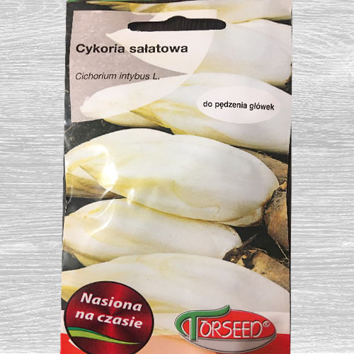 1 szt, Cykoria sałatkowa Spadona - Nasiona: Ilość w opakowaniu: 2 g