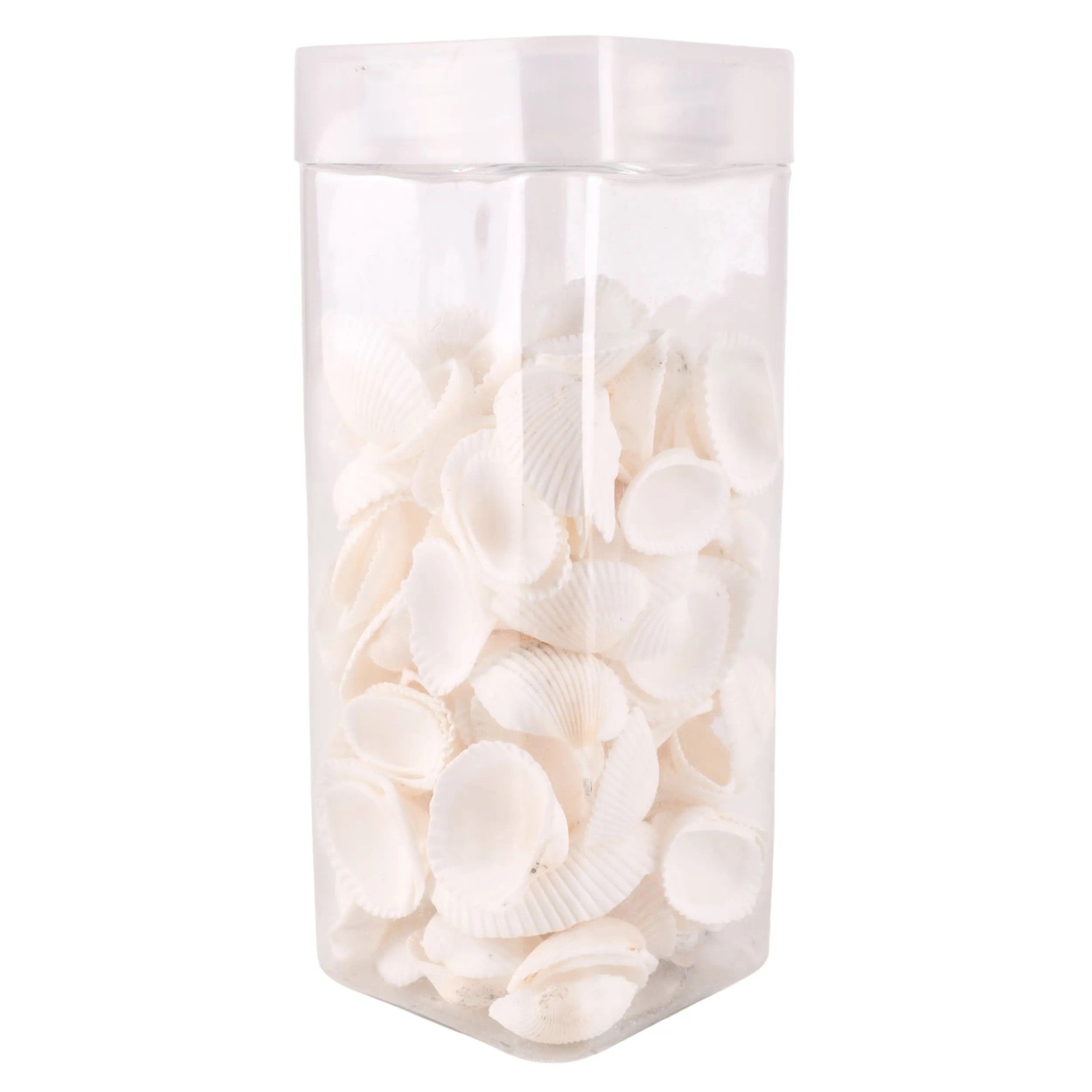 Muszelki dekoracyjne białe 2 cm - 200 g