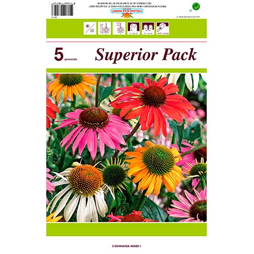 5 buc, Echinacea mix multicolor - Bulbi: Mod de ambalare: 5 buc