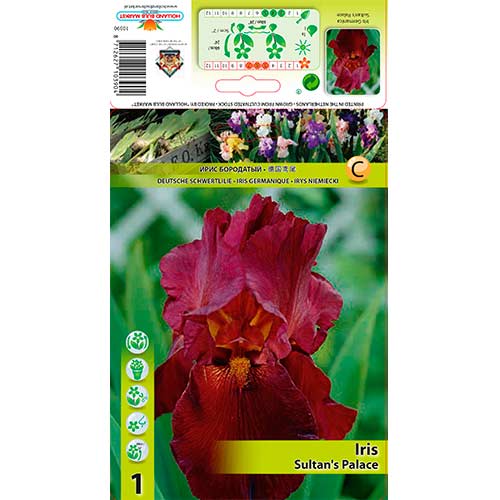 1 buc, Iris germanica (Stânjenel) Sultan's Palace - Bulbi: Mod de ambalare: 1 buc