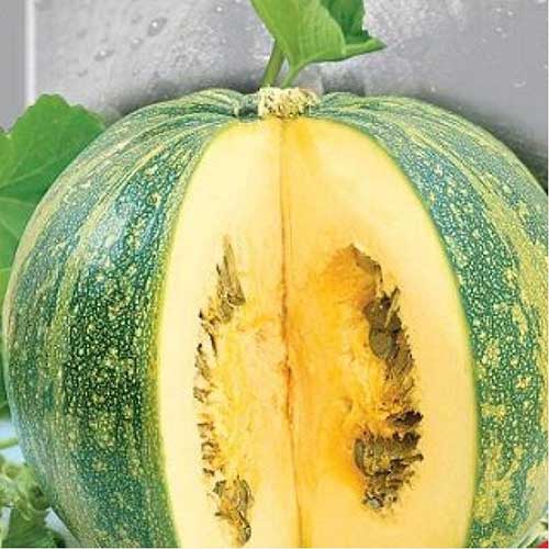 1 pac, Dovlecel Miranda - Semințe: Mod de ambalare: 5 g