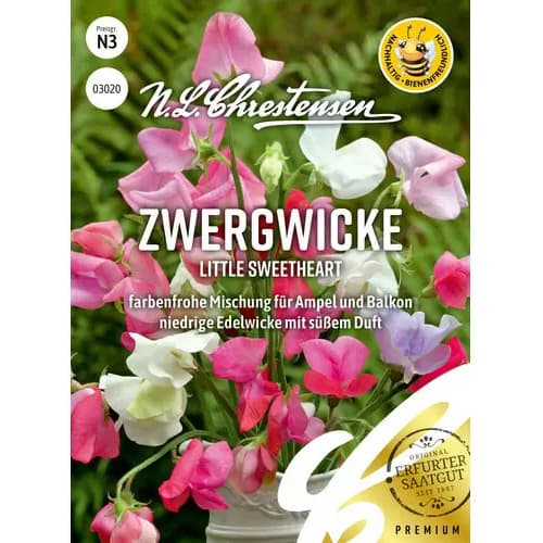 1 ob, Hrách vonný Little Sweetheart - : Monžstvo balíkov: 1 ob