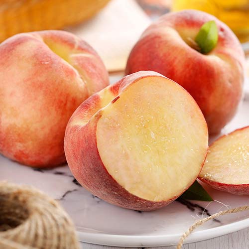 1 Pflanze(n), Nektarine Caramela - Setzlinge: Ilość w opakowaniu: 1 Pflanze(n)