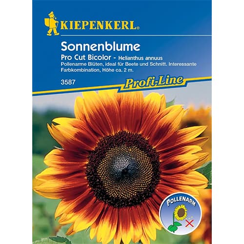 1 szt, Sonnenblume Pro Cut Bicolor F1 - Samen: Ilość w opakowaniu: 1 Stück