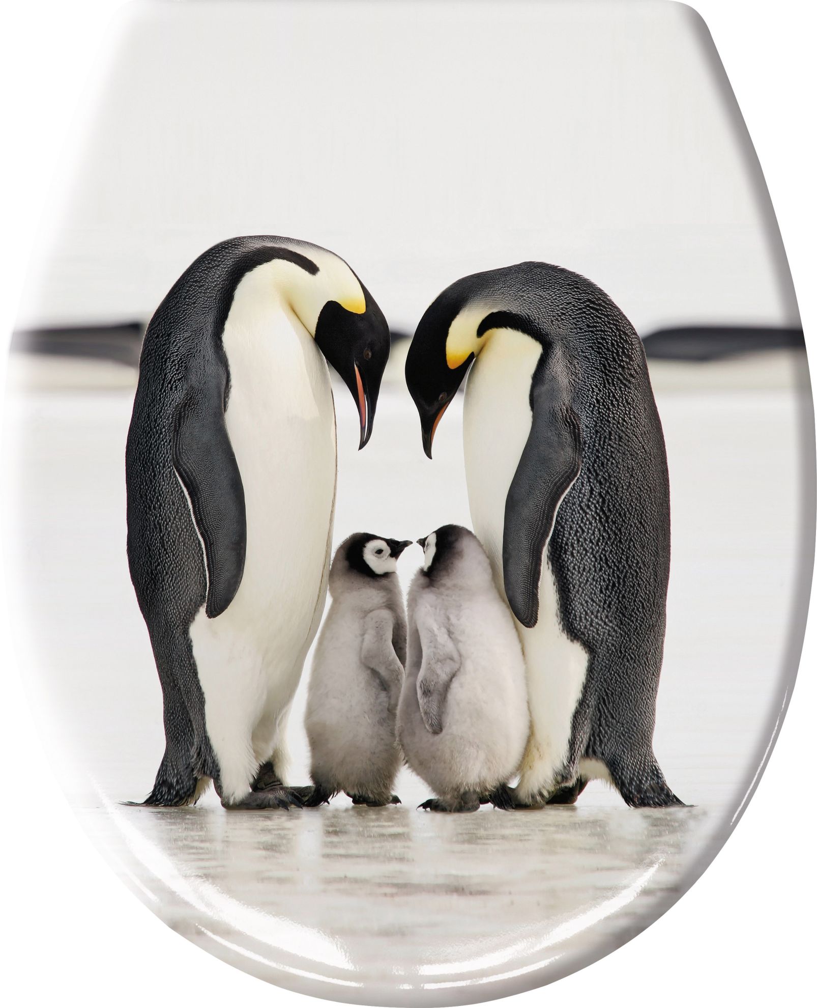 Darmowa Dostawa - Deska sedesowa wolnoopadająca Kleine Wolke Jacksons 1865190075