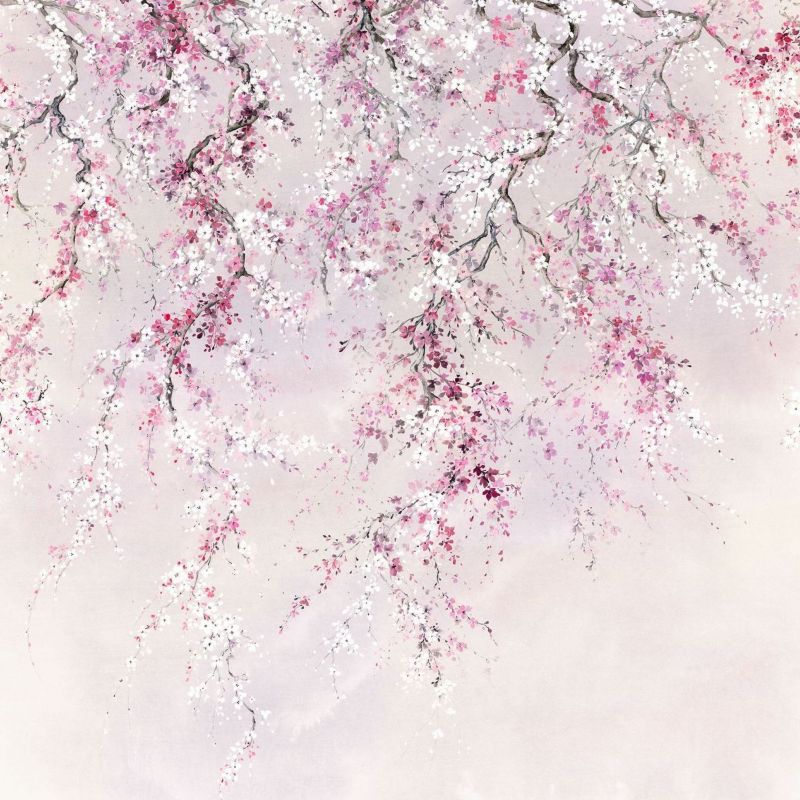 fototapeta Sanders & Sanders kwiaty wiśni różowym 300 x 280 cm - 1 rol.