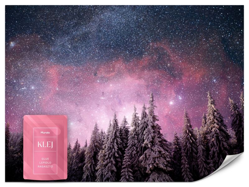 Fototapeta Muralo Zaczarowany Las Abstrakcyjna Dekoracja Styl Nowoczesny 450x315 cm 1szt.