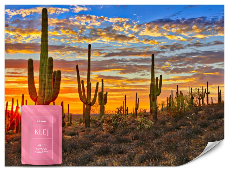 Fototapeta Muralo Zachód Słońca Nad Amerykańską Pustynią Do Sypialni 350x256 cm 1szt.