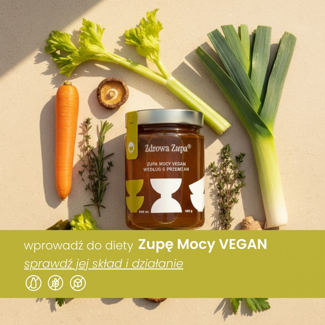 Zupa mocy vegan według 5 przemian (długo gotowana, bez glutenu, bez laktozy, do lodówki, czysty skład 540 ml, do lodówki)