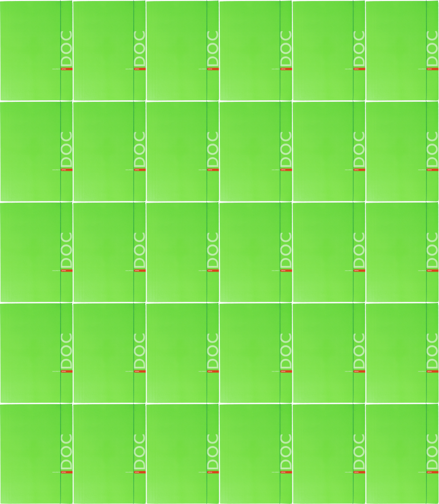 40x Teczka kartonowa z gumką Barbara Fluo, A4, 350g, zielony