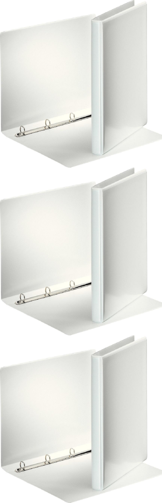 3x Segregator prezentacyjny Esselte Panorama, A4, szerokość grzbietu 63mm, do 380 kartek, 4 ringi, biały