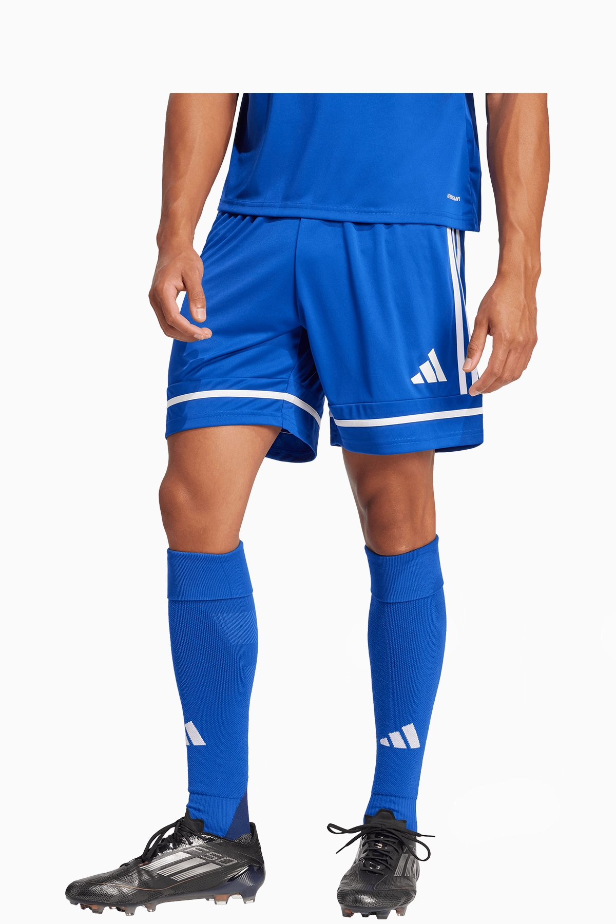 Spodenki adidas Squadra 25 - Niebieski