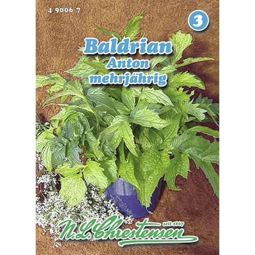 1 szt, Baldrian Anton Chrestensen - Samen: Ilość w opakowaniu: 1 Stück