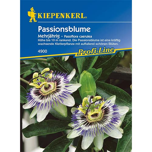 1 szt, Passionsblume Kiepenkerl - Samen: Ilość w opakowaniu: 1 Stück