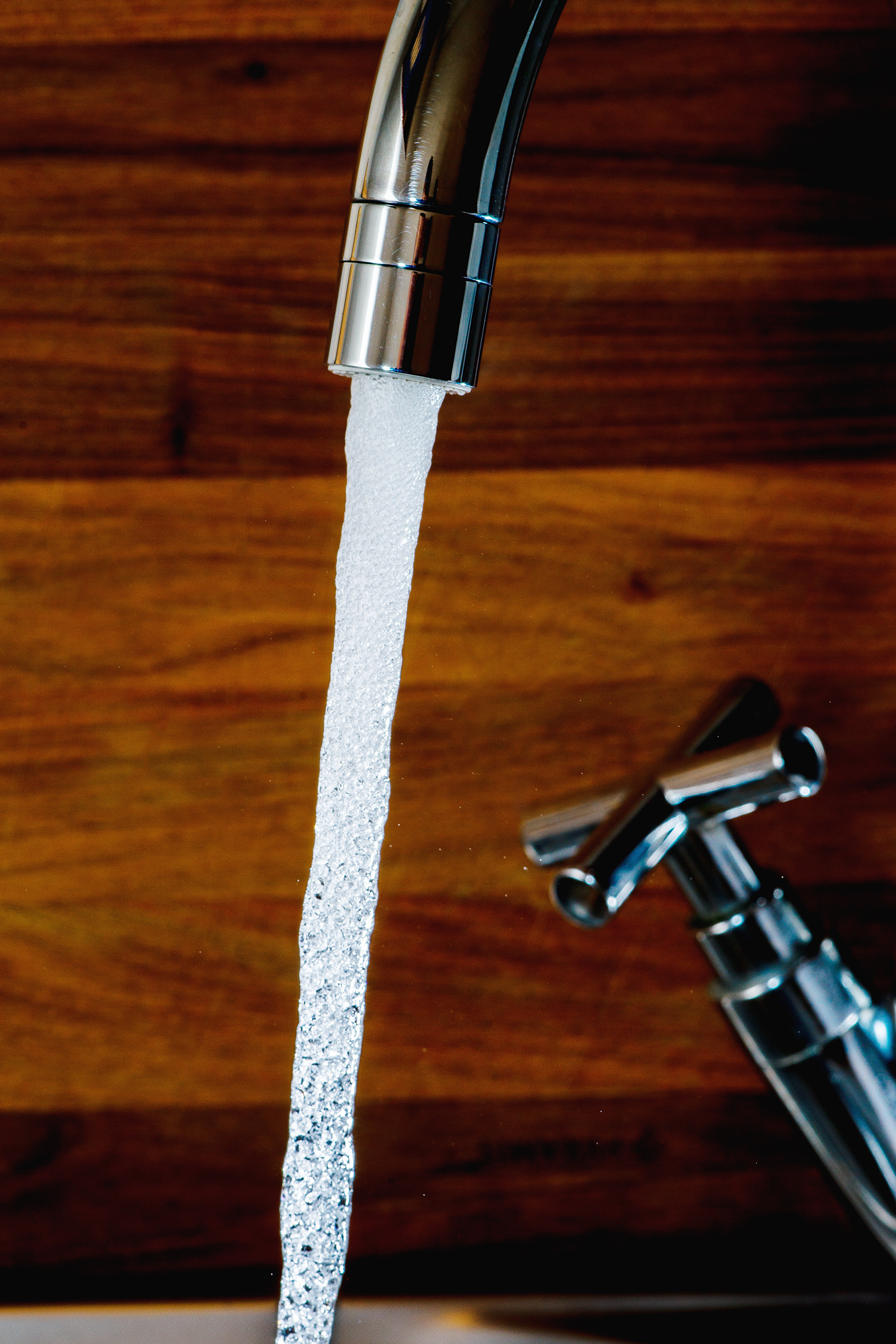 Pyramis perlator 099952301