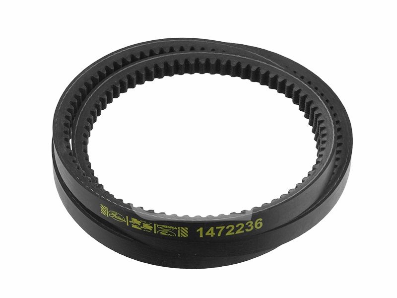 Pas uzębiony 133528