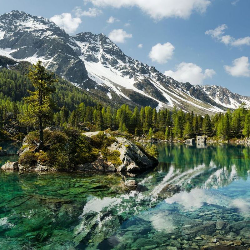 fototapeta Sanders & Sanders krajobraz górski z drzewami zielonymIniebieskim 450 x 280 cm - 1 rol.