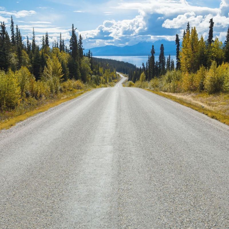 fototapeta Sanders & Sanders droga zielonym,niebieskimIszarym 368 x 254 cm - 1 rol.