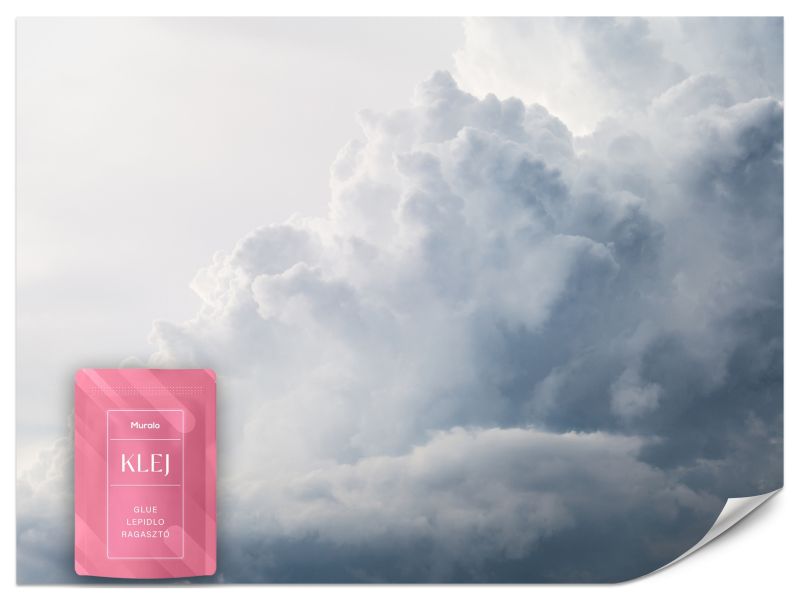 Fototapeta Muralo Deszczowe Chmury Styl Nowoczesny 300x210 cm 1szt.