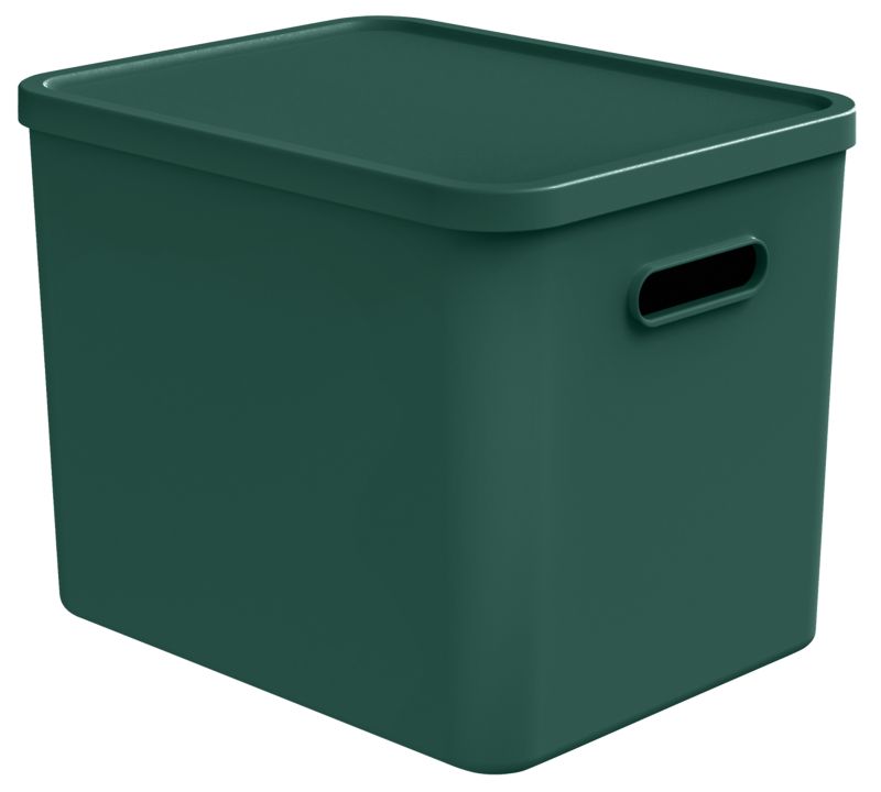 Pojemnik Rotho Albula Light 27 l zielony