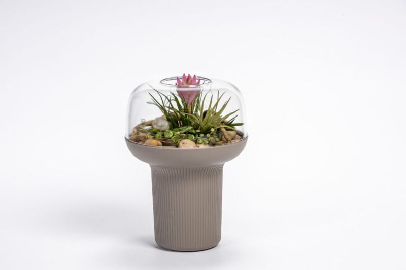 Humidarium Rim Kowalczyk taupe Plastia 1 szt.