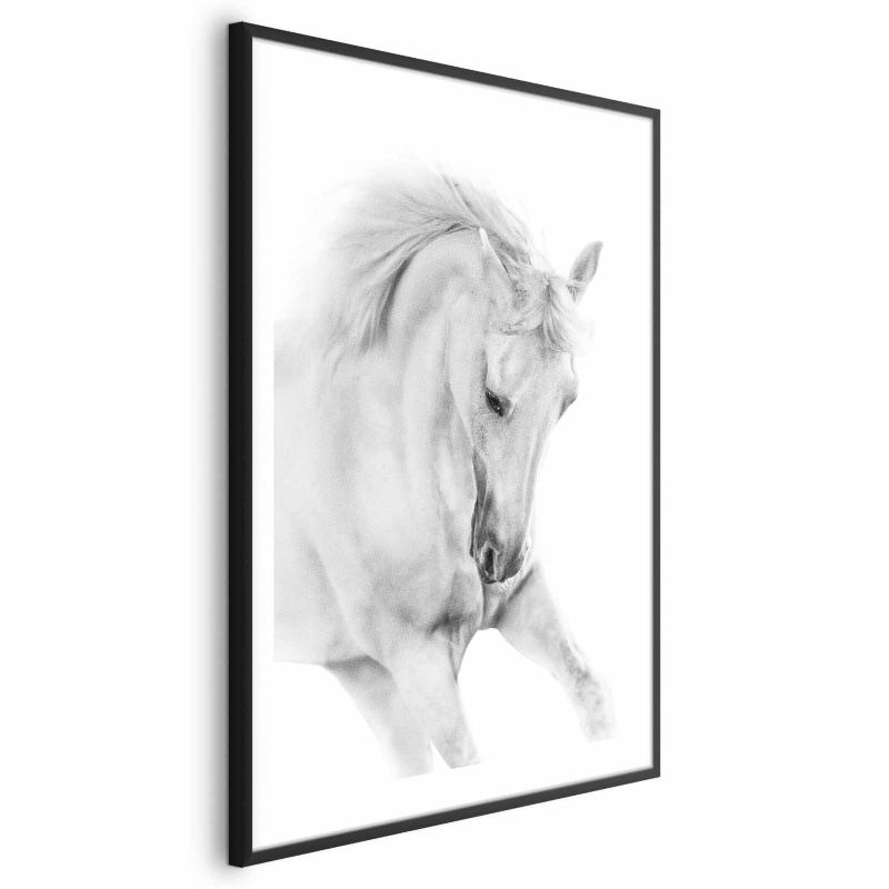 Plakat Artgeist Biały koń 21x30 cm z ramą czarną 1 szt