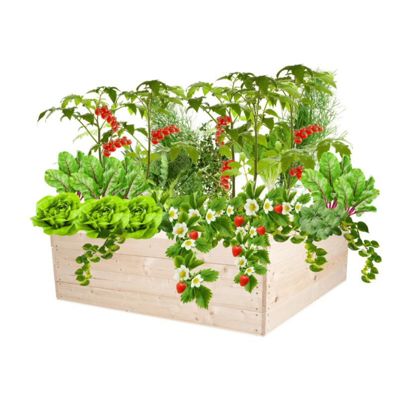 Donica na warzywa MODO24 warzywnik impregnowana przeźroczysta 36x120x117 cm 1 szt.