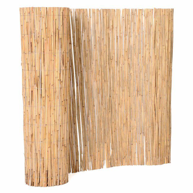 Mata balkonowa trzcinowa 600 x 100 cm