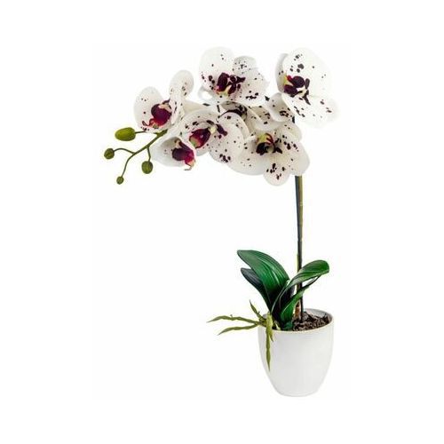 Storczyk sztuczny w doniczce Direct Home &Garden 42 cm 1 szt.