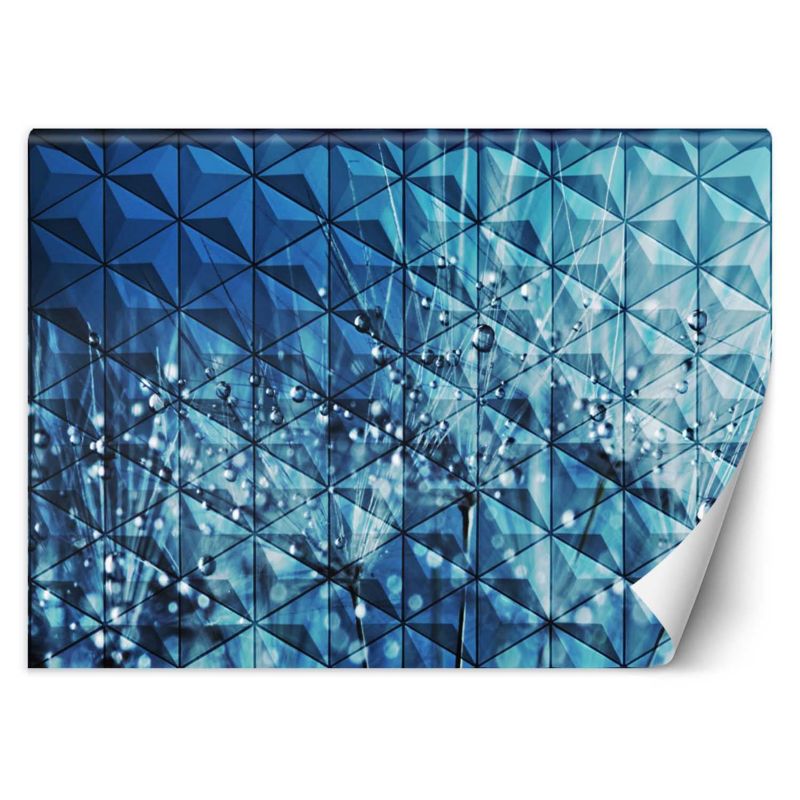 Fototapeta Feeby Krople rosy na dmuchawcu 250x175 1 szt