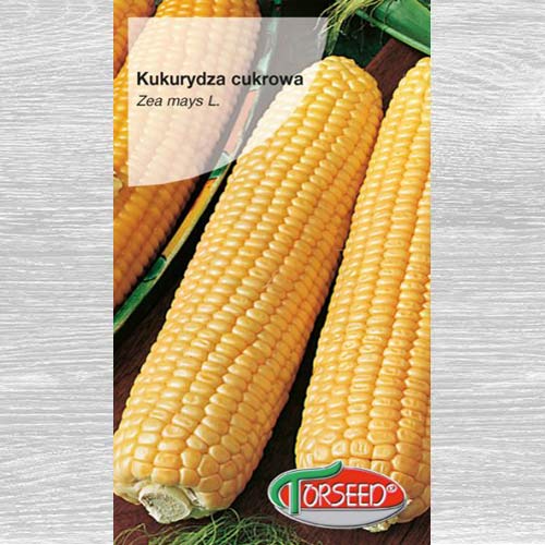 1 szt, Kukurydza cukrowa Złota Karłowa - Nasiona: Ilość w opakowaniu: 20 g