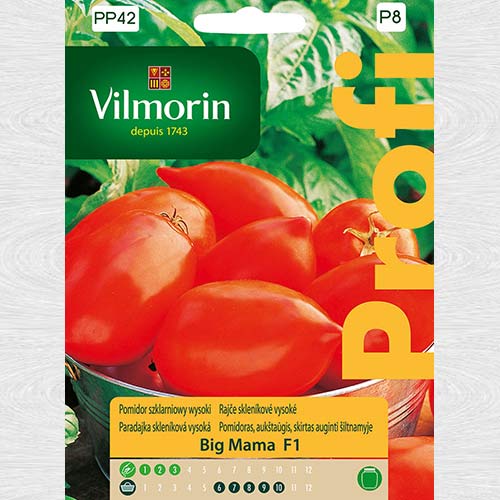 1 szt, Pomidor szklarniowy wysoki Big Mama F1 - Nasiona: Ilość w opakowaniu: 0.1 g