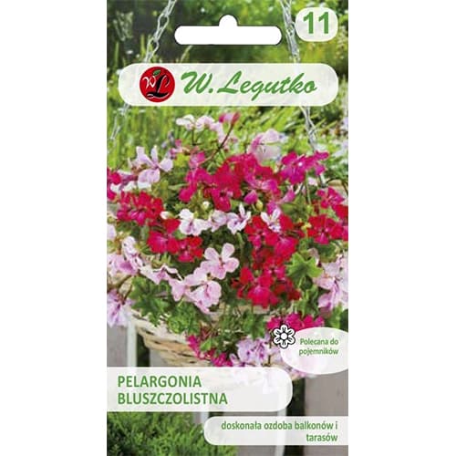 1 szt, Pelargonia bluszczolistna Speedy F2, mix kolorow - Nasiona: Ilość w opakowaniu: 5 szt