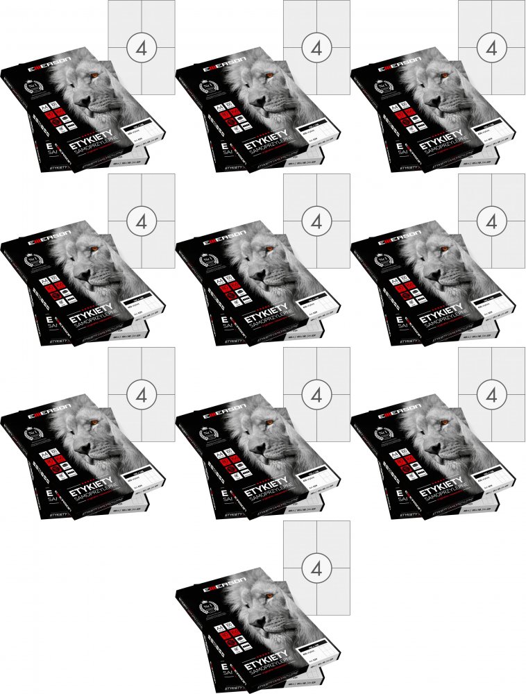 10x Etykiety samoprzylepne Emerson, 105x148mm, 100 arkuszy, biały