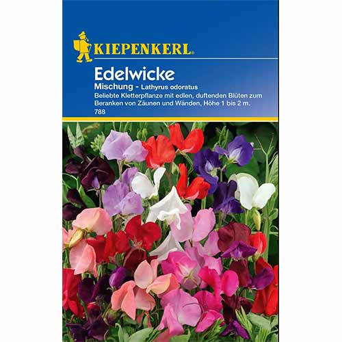 1 szt, Lednek Unicorn, mix Kiepenkerl - Magok: Mod de ambalare: 1 db