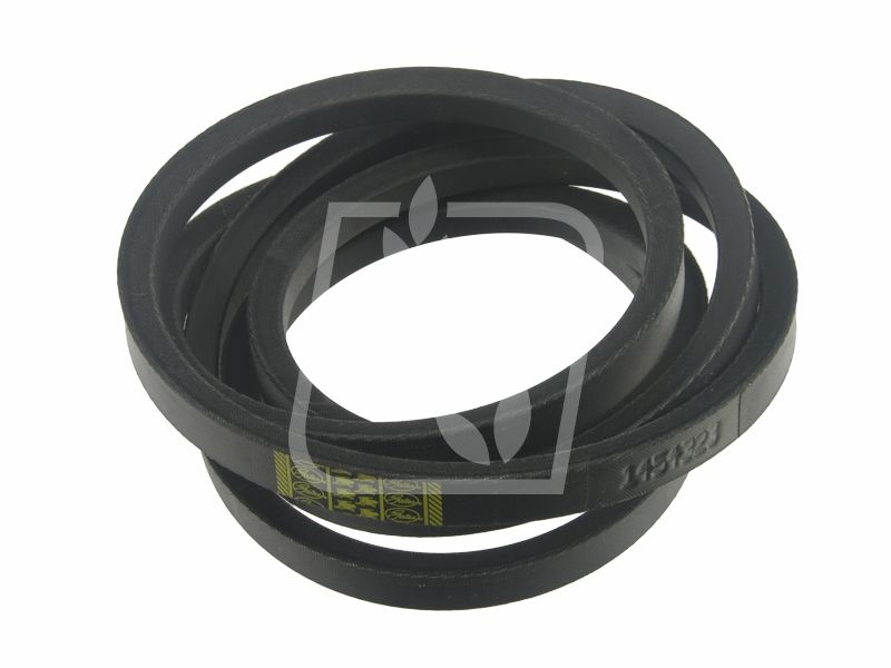 Pas 506671 22 x 2895