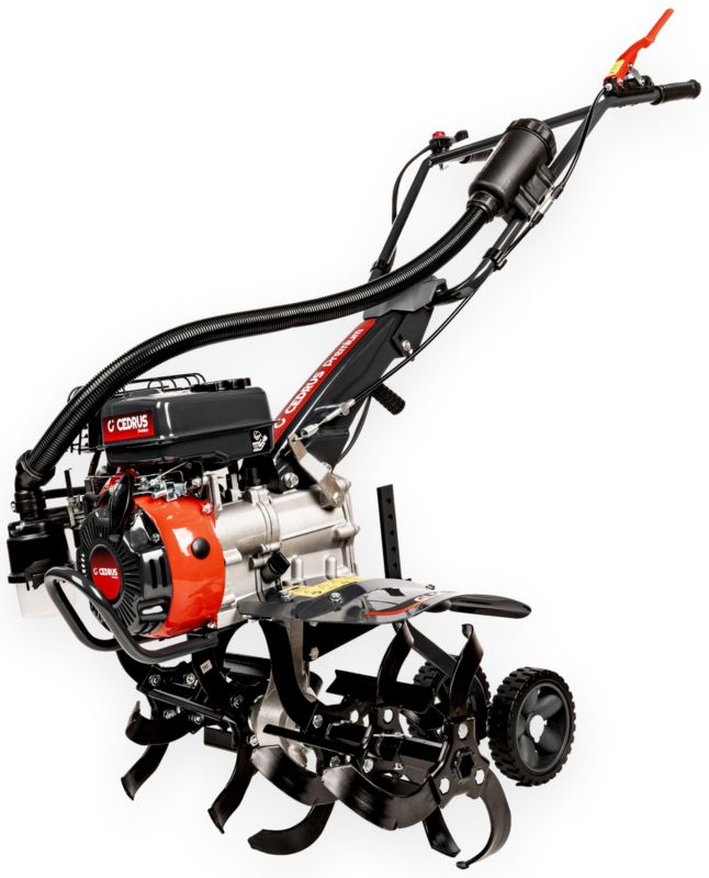 Glebogryzarka Cedrus Gl50 Spalinowa Ogrodowa Kultywator 50Cm Rato R100 Cedrus Premium Gl50 1szt.