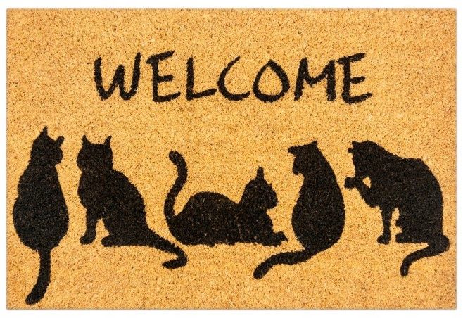 Wycieraczka FEINZ Do Butów 60X40 Cm Wejściowa Mata Kokosowa Koty Welcome 1 szt.
