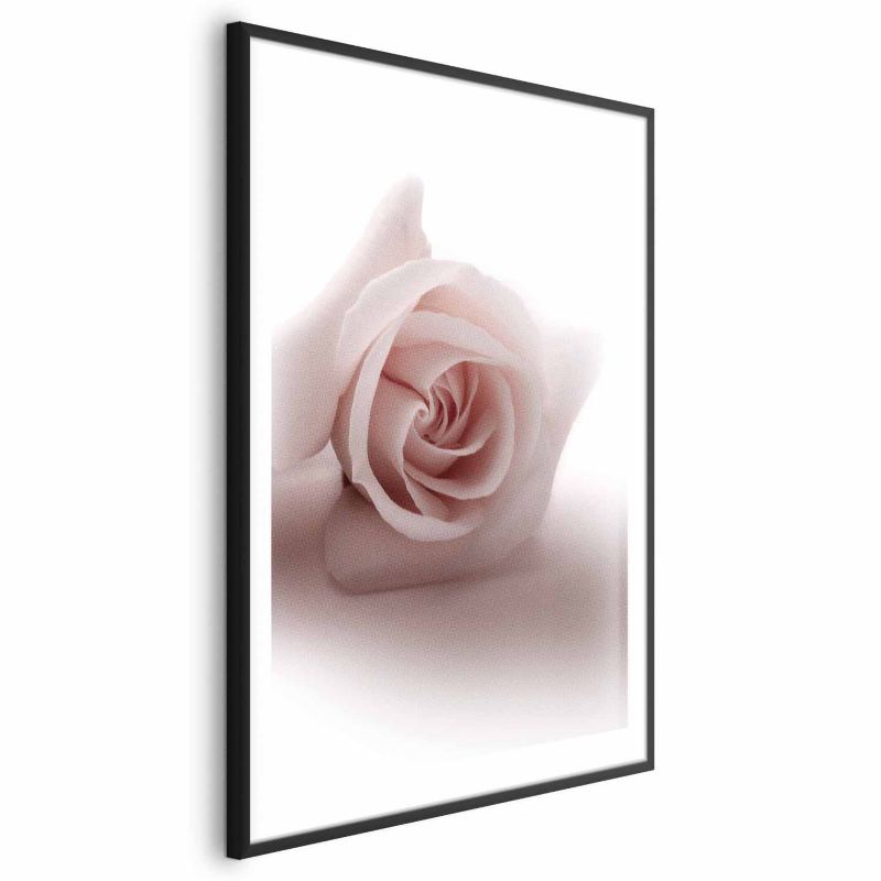 Plakat Artgeist Różany cień 21x30 cm z ramą czarną 1 szt