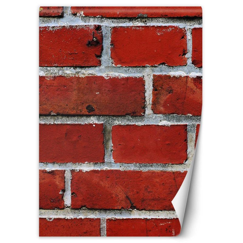 Fototapeta Feeby Czerwona cegła makro 150x210 1 szt
