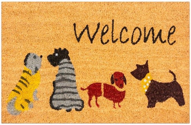 Wycieraczka FEINZ Do Butów 60X40 Cm Wejściowa Mata Kokosowa Psy Welcome 1 szt.