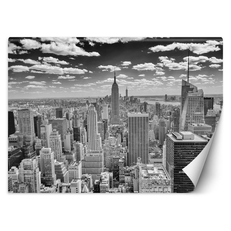 Fototapeta Feeby Manhattan panorama miasta 254x184 1 szt