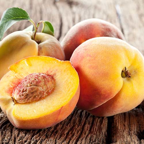 1 sadz, Brzoskwinia Fayette - Sadzonki: Ilość w opakowaniu: 1 sadz